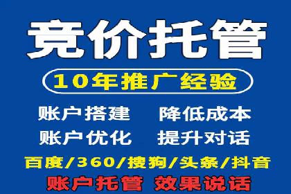 竞价排名中的数据分析和优化案例